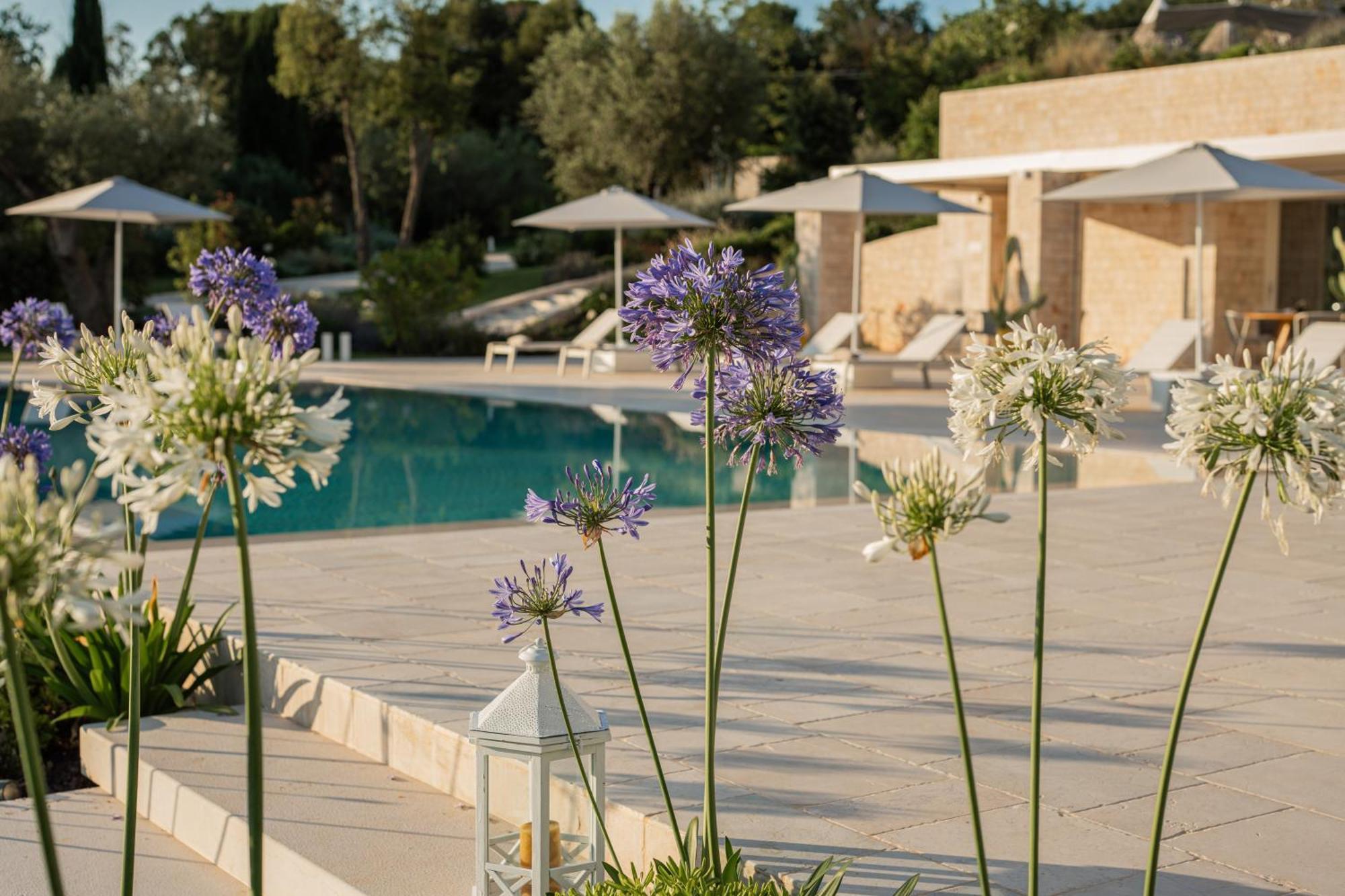 Bed and Breakfast Essenza Relais Contemporaneo Cisternino Exterior foto